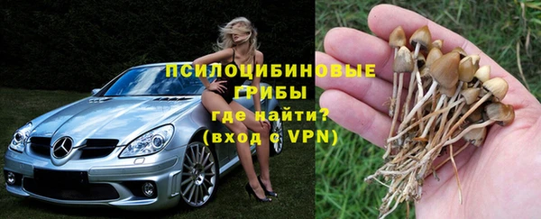бутират Переславль-Залесский