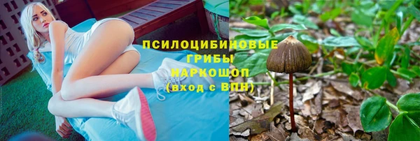 ECSTASY Пересвет