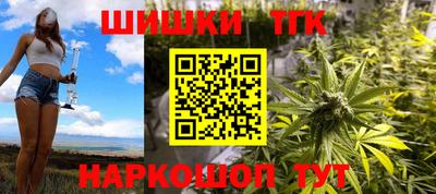 спайс Гагарин