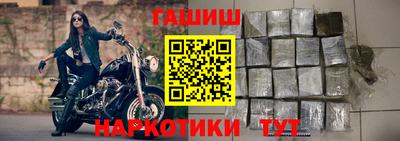 сатива Гатчина