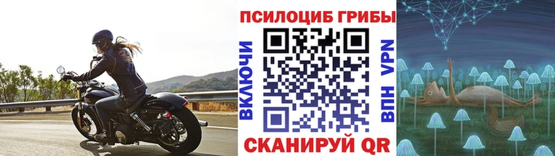 Галлюциногенные грибы GOLDEN TEACHER  купить  цена  Уфа 